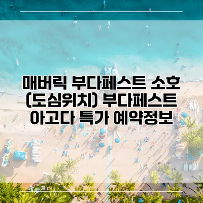 매버릭 부다페스트 소호 (도심위치) 부다페스트 아고다 특가 예약정보