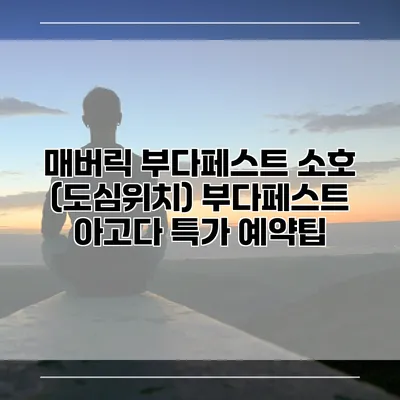 매버릭 부다페스트 소호 (도심위치) 부다페스트 아고다 특가 예약팁