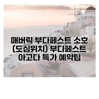 매버릭 부다페스트 소호 (도심위치) 부다페스트 아고다 특가 예약팁