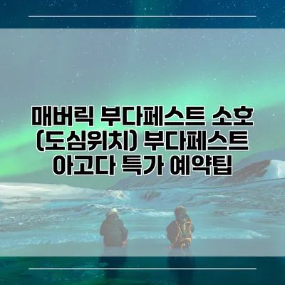 매버릭 부다페스트 소호 (도심위치) 부다페스트 아고다 특가 예약팁