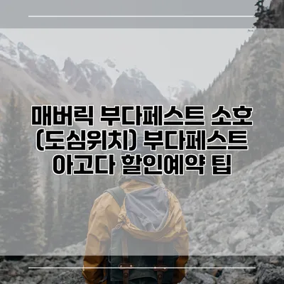 매버릭 부다페스트 소호 (도심위치) 부다페스트 아고다 할인예약 팁