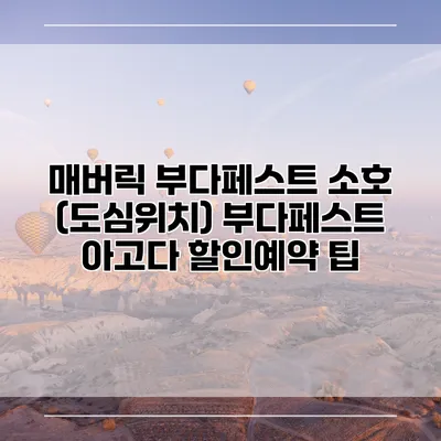 매버릭 부다페스트 소호 (도심위치) 부다페스트 아고다 할인예약 팁