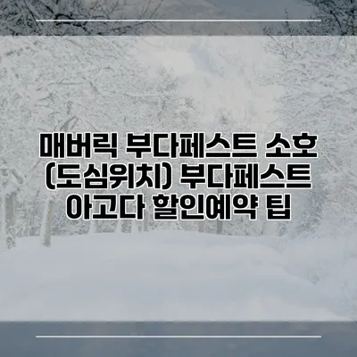 매버릭 부다페스트 소호 (도심위치) 부다페스트 아고다 할인예약 팁