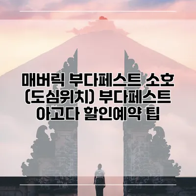 매버릭 부다페스트 소호 (도심위치) 부다페스트 아고다 할인예약 팁