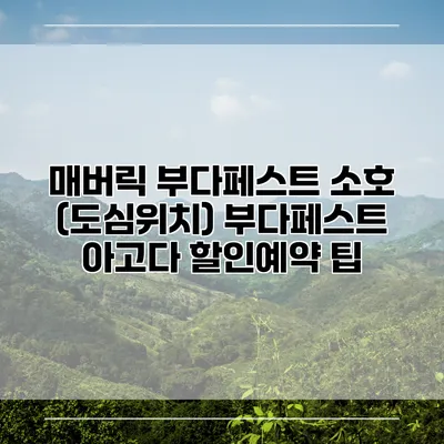 매버릭 부다페스트 소호 (도심위치) 부다페스트 아고다 할인예약 팁