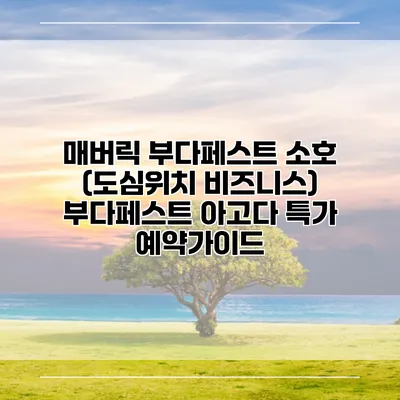 매버릭 부다페스트 소호 (도심위치 비즈니스) 부다페스트 아고다 특가 예약가이드