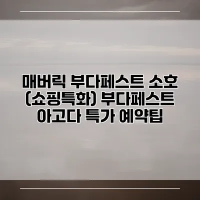 매버릭 부다페스트 소호 (쇼핑특화) 부다페스트 아고다 특가 예약팁