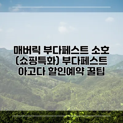 매버릭 부다페스트 소호 (쇼핑특화) 부다페스트 아고다 할인예약 꿀팁