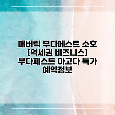 매버릭 부다페스트 소호 (역세권 비즈니스) 부다페스트 아고다 특가 예약정보