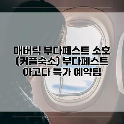 매버릭 부다페스트 소호 (커플숙소) 부다페스트 아고다 특가 예약팁
