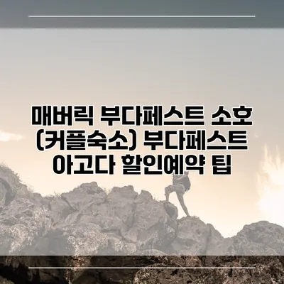 매버릭 부다페스트 소호 (커플숙소) 부다페스트 아고다 할인예약 팁