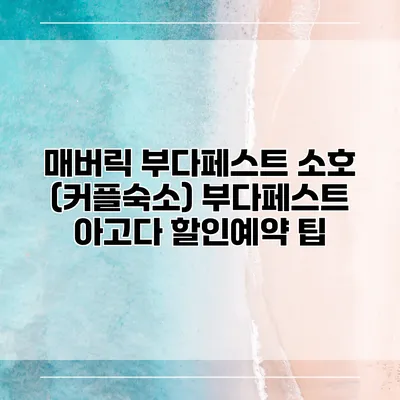 매버릭 부다페스트 소호 (커플숙소) 부다페스트 아고다 할인예약 팁