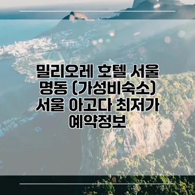 밀리오레 호텔 서울 명동 (가성비숙소) 서울 아고다 최저가 예약정보