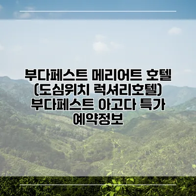 부다페스트 메리어트 호텔 (도심위치 럭셔리호텔) 부다페스트 아고다 특가 예약정보