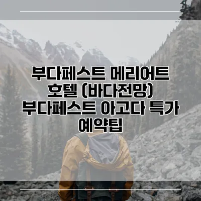 부다페스트 메리어트 호텔 (바다전망) 부다페스트 아고다 특가 예약팁