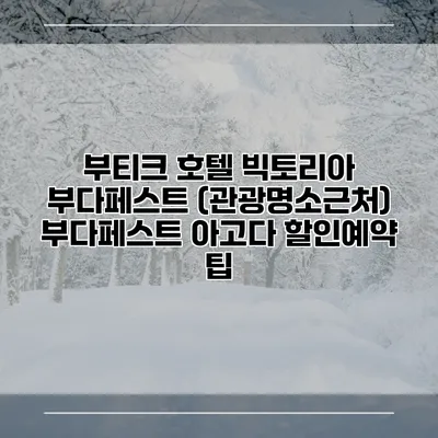 부티크 호텔 빅토리아 부다페스트 (관광명소근처) 부다페스트 아고다 할인예약 팁