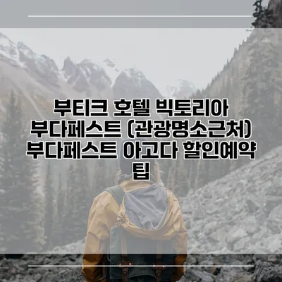 부티크 호텔 빅토리아 부다페스트 (관광명소근처) 부다페스트 아고다 할인예약 팁