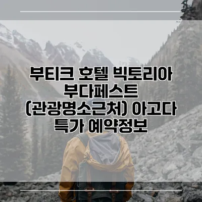 부티크 호텔 빅토리아 부다페스트 (관광명소근처) 아고다 특가 예약정보