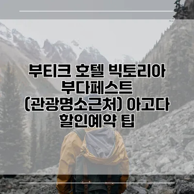 부티크 호텔 빅토리아 부다페스트 (관광명소근처) 아고다 할인예약 팁