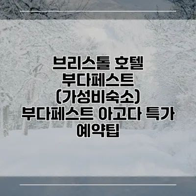 브리스톨 호텔 부다페스트 (가성비숙소) 부다페스트 아고다 특가 예약팁