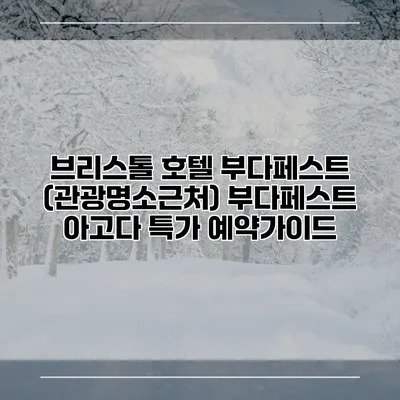 브리스톨 호텔 부다페스트 (관광명소근처) 부다페스트 아고다 특가 예약가이드