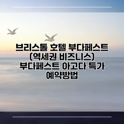 브리스톨 호텔 부다페스트 (역세권 비즈니스) 부다페스트 아고다 특가 예약방법