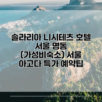 솔라리아 니시테츠 호텔 서울 명동 (가성비숙소) 서울 아고다 특가 예약팁