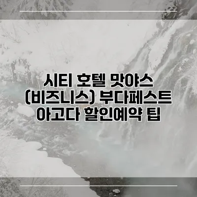 시티 호텔 맛야스 (비즈니스) 부다페스트 아고다 할인예약 팁