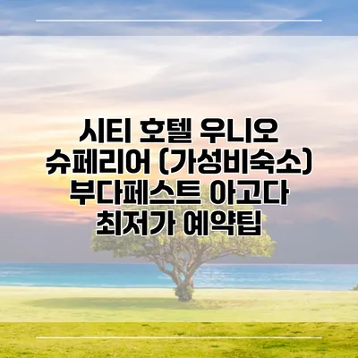 시티 호텔 우니오 슈페리어 (가성비숙소) 부다페스트 아고다 최저가 예약팁
