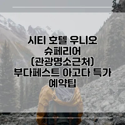 시티 호텔 우니오 슈페리어 (관광명소근처) 부다페스트 아고다 특가 예약팁