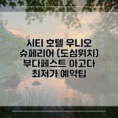 시티 호텔 우니오 슈페리어 (도심위치) 부다페스트 아고다 최저가 예약팁