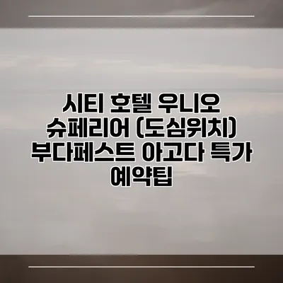 시티 호텔 우니오 슈페리어 (도심위치) 부다페스트 아고다 특가 예약팁
