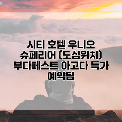 시티 호텔 우니오 슈페리어 (도심위치) 부다페스트 아고다 특가 예약팁
