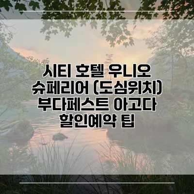 시티 호텔 우니오 슈페리어 (도심위치) 부다페스트 아고다 할인예약 팁