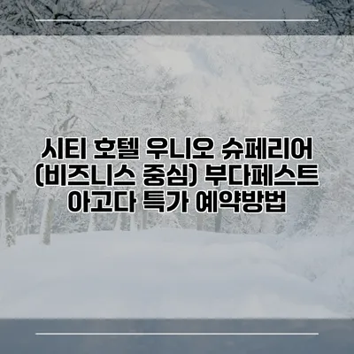 시티 호텔 우니오 슈페리어 (비즈니스 중심) 부다페스트 아고다 특가 예약방법