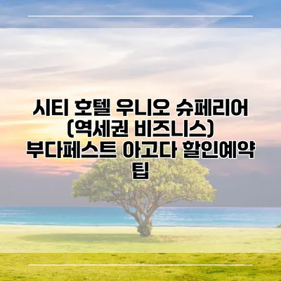 시티 호텔 우니오 슈페리어 (역세권 비즈니스) 부다페스트 아고다 할인예약 팁