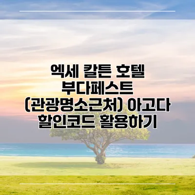 엑세 칼튼 호텔 부다페스트 (관광명소근처) 아고다 할인코드 활용하기