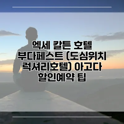 엑세 칼튼 호텔 부다페스트 (도심위치 럭셔리호텔) 아고다 할인예약 팁