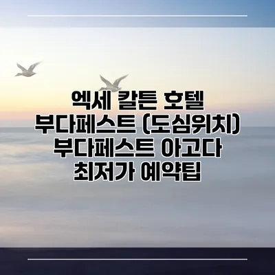 엑세 칼튼 호텔 부다페스트 (도심위치) 부다페스트 아고다 최저가 예약팁