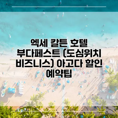 엑세 칼튼 호텔 부다페스트 (도심위치 비즈니스) 아고다 할인 예약팁