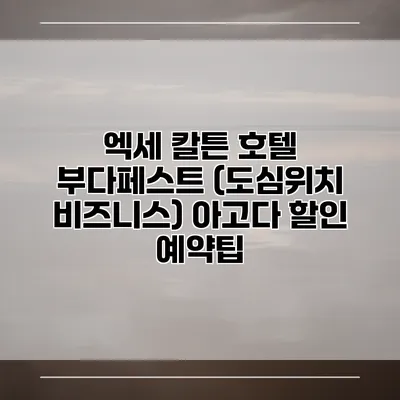 엑세 칼튼 호텔 부다페스트 (도심위치 비즈니스) 아고다 할인 예약팁