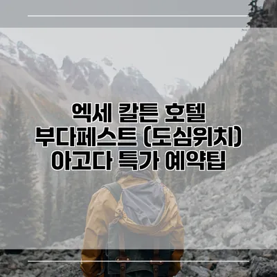 엑세 칼튼 호텔 부다페스트 (도심위치) 아고다 특가 예약팁