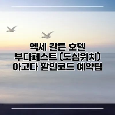 엑세 칼튼 호텔 부다페스트 (도심위치) 아고다 할인코드 예약팁