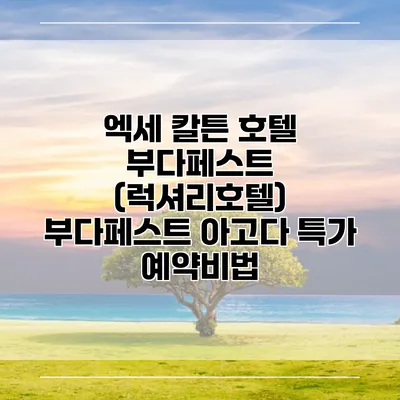엑세 칼튼 호텔 부다페스트 (럭셔리호텔) 부다페스트 아고다 특가 예약비법