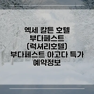 엑세 칼튼 호텔 부다페스트 (럭셔리호텔) 부다페스트 아고다 특가 예약정보