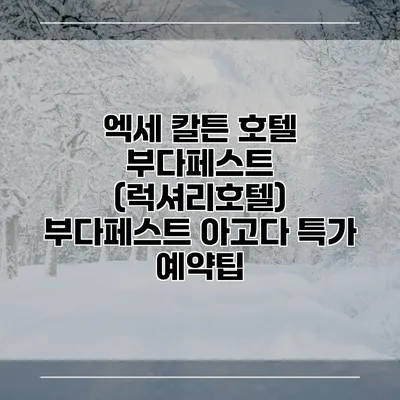 엑세 칼튼 호텔 부다페스트 (럭셔리호텔) 부다페스트 아고다 특가 예약팁