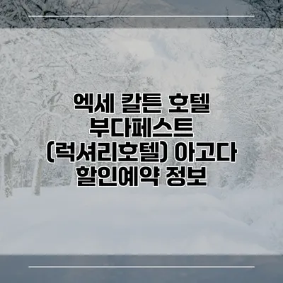 엑세 칼튼 호텔 부다페스트 (럭셔리호텔) 아고다 할인예약 정보