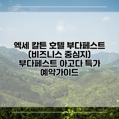 엑세 칼튼 호텔 부다페스트 (비즈니스 중심지) 부다페스트 아고다 특가 예약가이드