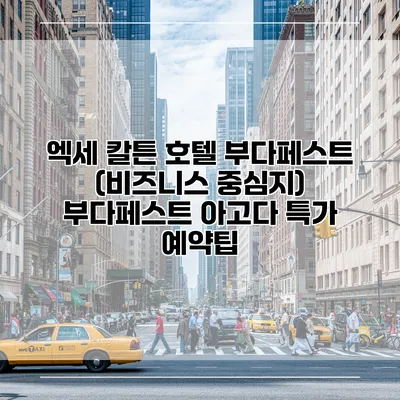 엑세 칼튼 호텔 부다페스트 (비즈니스 중심지) 부다페스트 아고다 특가 예약팁