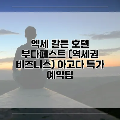 엑세 칼튼 호텔 부다페스트 (역세권 비즈니스) 아고다 특가 예약팁